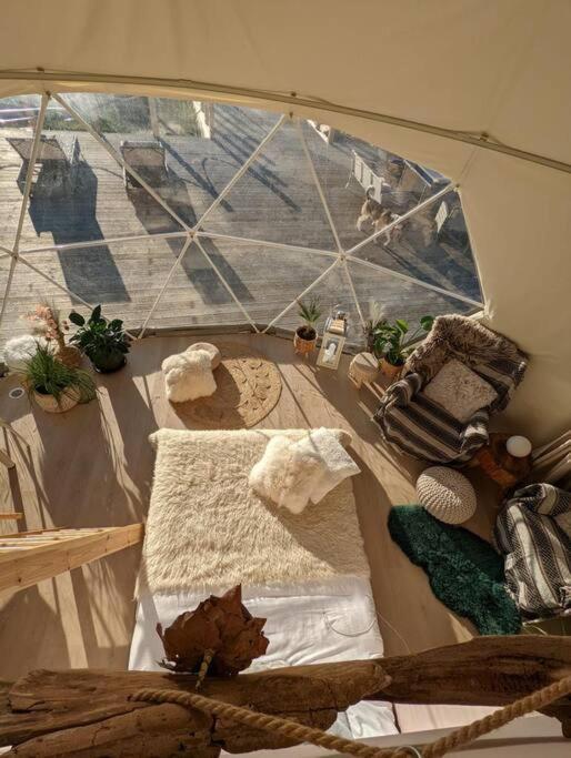 Beautiful Located Dome Hotel Wapnica  ภายนอก รูปภาพ